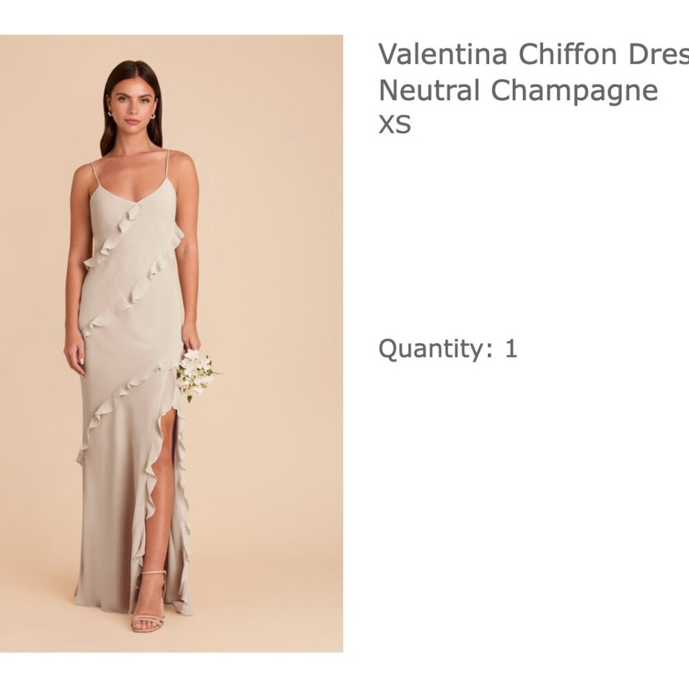 Birdy Grey Valentina Dress in Neutral Champagne - XS